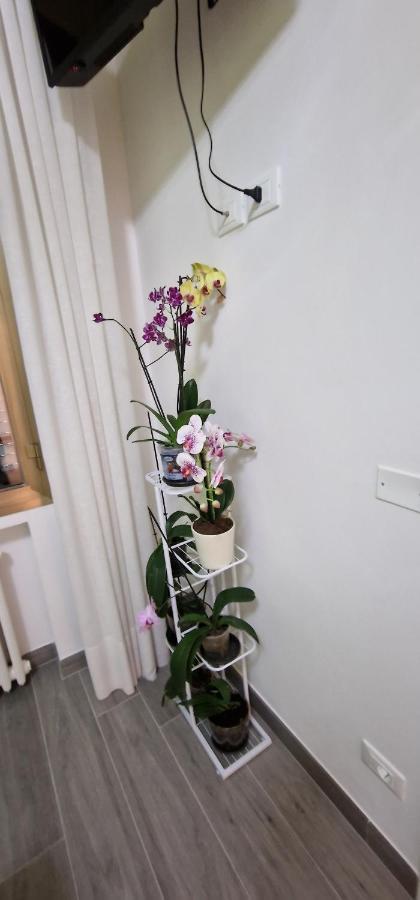 Orchidea Bed & Breakfast Bologna Luaran gambar